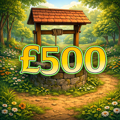 £500