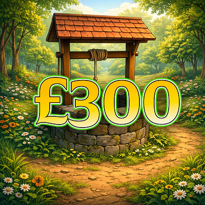 £300