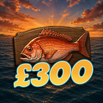 £300 