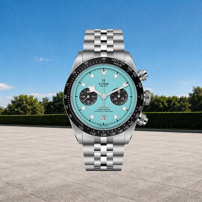 Tudor Black Bay Chrono Blue Flamingo or £3000