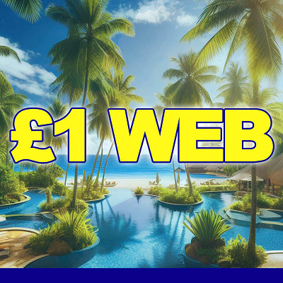 £1 Website Credit