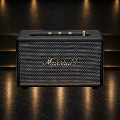 Marshall speaker or £200
