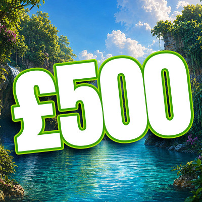£500