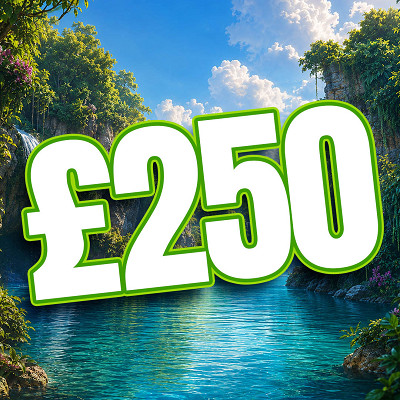 £250