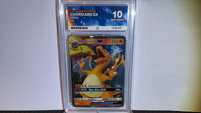 ACE 10 Charizard GX #9/68 • Hidden Fates or £50