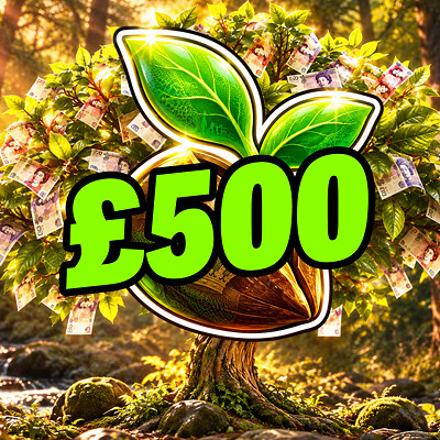 £500