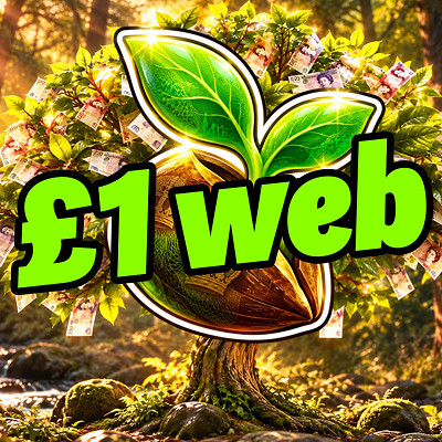 £1 Website Credit