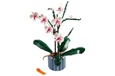 LEGO Orchid or £40