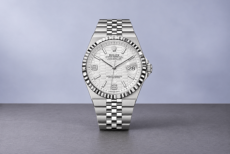Rolex Land Dweller or £10,000 #2