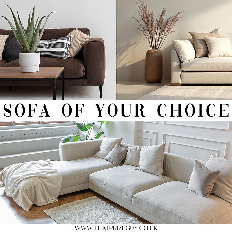 Sofa of Your Choice #1